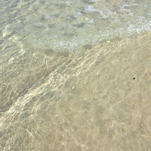 Meet your Posher, Jazlin